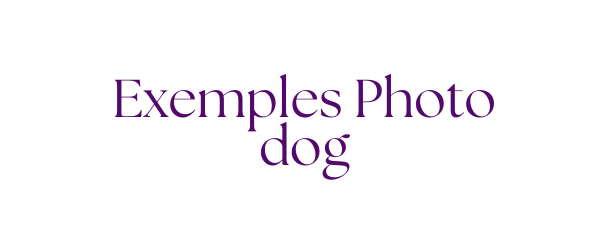 Exemples Photo dog